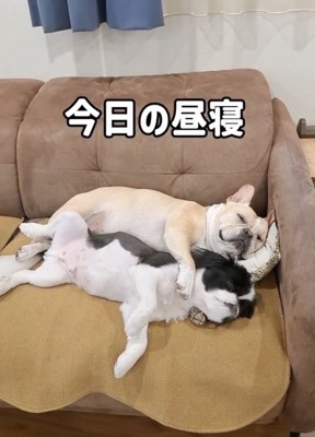 ママのため、今後も頑張ろうね