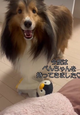 「これもあげていいよね？」