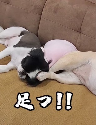 蹴ってるよ！！