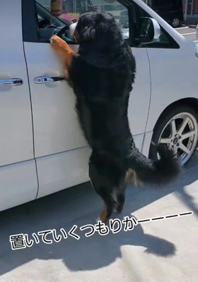 車で出かけようとしたら…