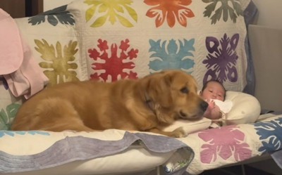 赤ちゃんに蹴られても…