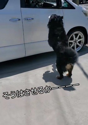 思い切り助走をつけて…