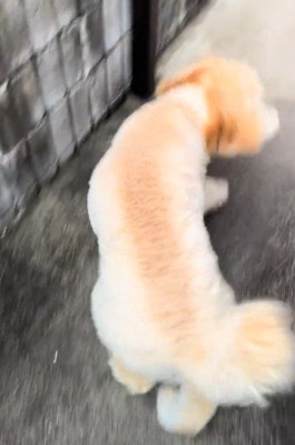 「こっちにおいで♡」