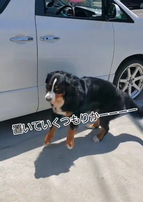 急にその場を離れていった