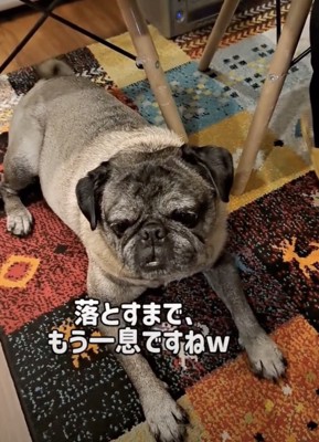 「うん、良いかんじ」