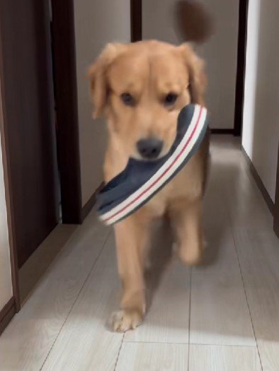 とてもわんぱくだった！！