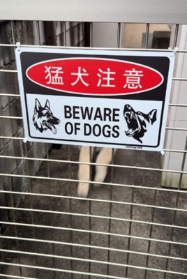 猛犬注意の看板にドキドキ