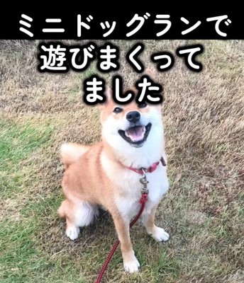 笑顔のハルちゃん