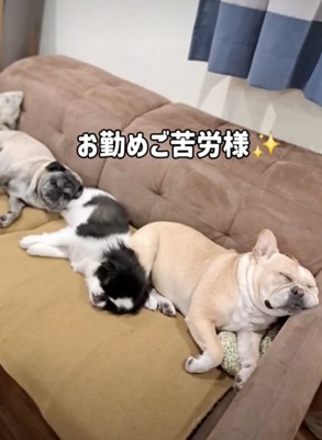 大仕事の後の休息です