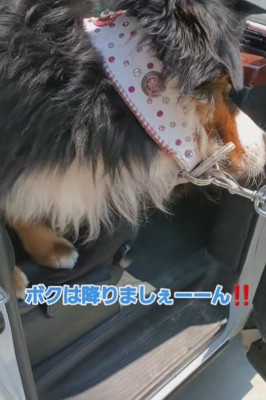 豪快な行動にビックリ