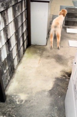 うきうきした足取りで…