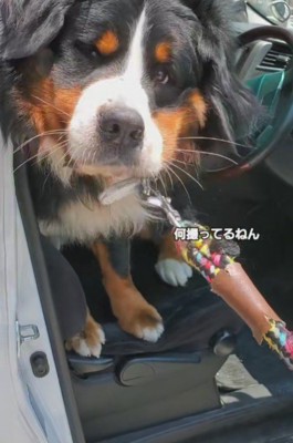 「まだ帰りたくない！」
