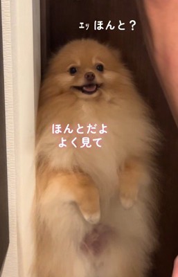 「行かないの？」