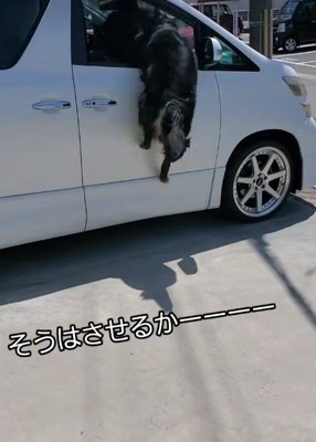 豪快にジャンプ！！