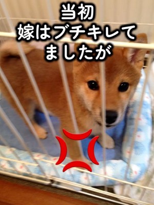 怒っていたママ