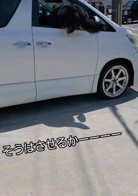 車内への侵入成功♪