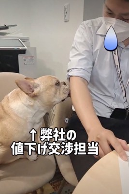 交渉担当のスキルが頭抜けてる