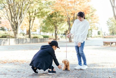 犬の散歩中に挨拶する女性たち