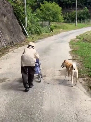 思いやりあふれる光景にホッコリ