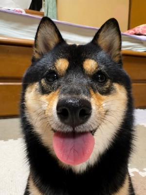 ニコニコ