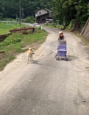 おばあちゃんと…