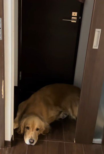 「え？どうしたの？」