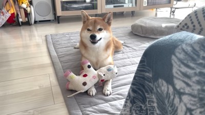 健気な姿にほっこり♡