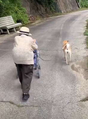 少し距離があくと…