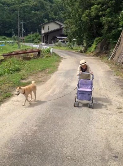 のんびり一緒にお散歩♪