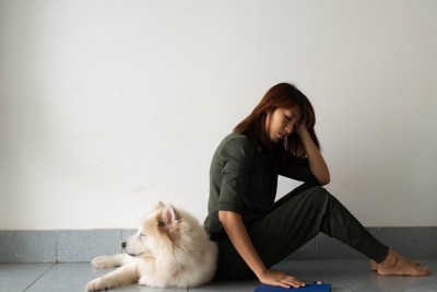 犬と悩む女性