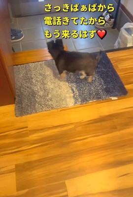 チビくんが玄関へ