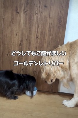 「まだまだ食べたい…！」