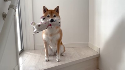 いい子で待機