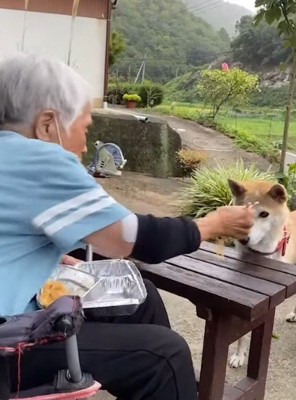 ひとくちお裾分け