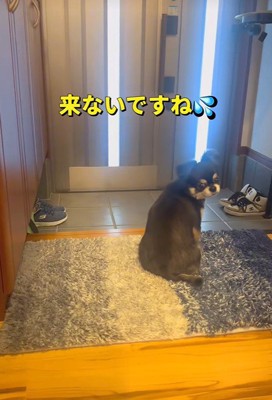 「おばあちゃん、まだかな？」