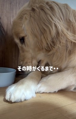 じーっ…