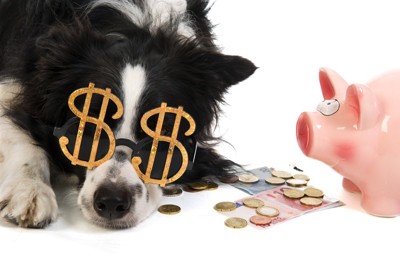 犬と豚の貯金箱
