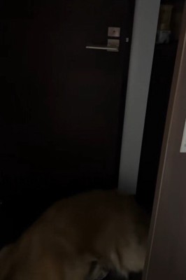 押しても開かない…