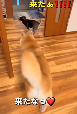 ついにおばあちゃんが到着！