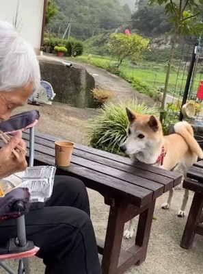 食事をしていると…