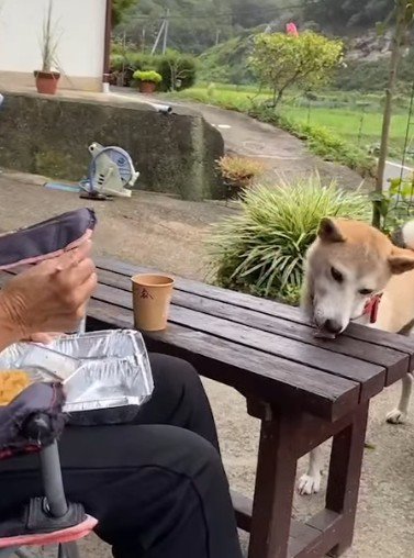 穏やかな時間が流れる