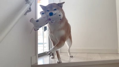 お手々を伸ばして大歓迎♪