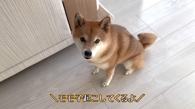 女の子を起こしてくると伝えたら…
