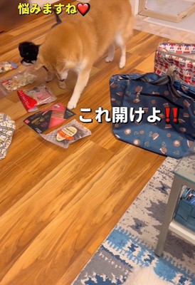 「どれから食べよう？」「これ！」