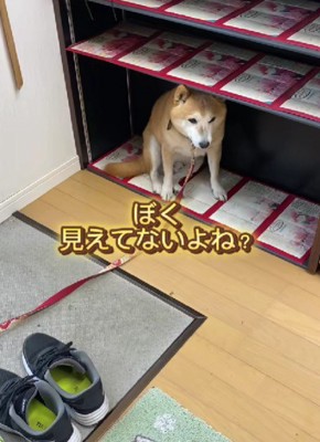 ロッカーの中！！