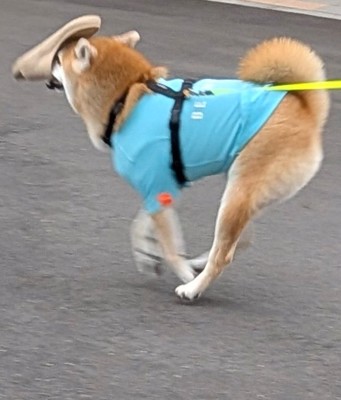 無慈悲
