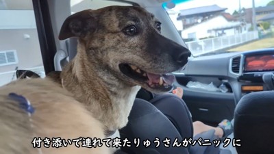 車で待機中