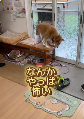 「まだ音が聞こえる…」