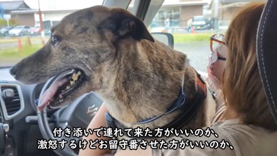 赤ちゃんのようで愛おしい♡