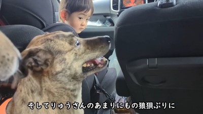 男の子も呆れ気味（笑）